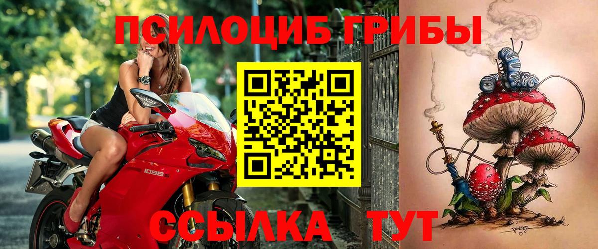 Псилоцибиновые грибы GOLDEN TEACHER Можайск